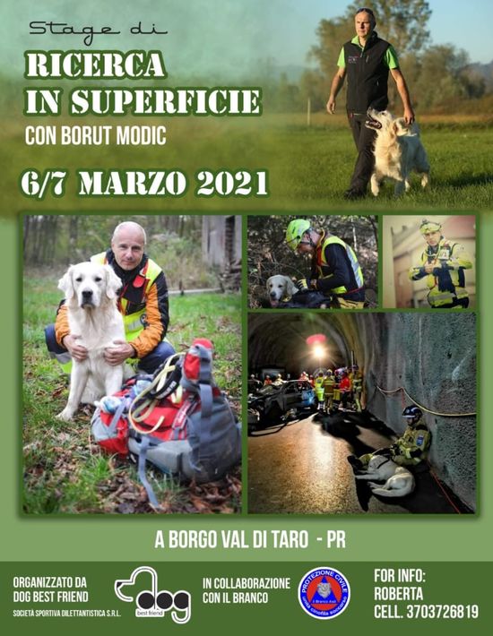 Corso di educazione cinofila