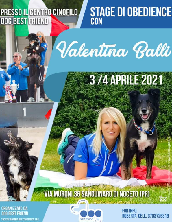 Corso di educazione cinofila