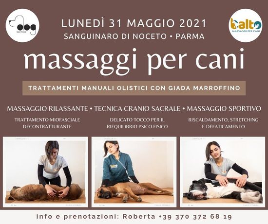 Corso di educazione cinofila