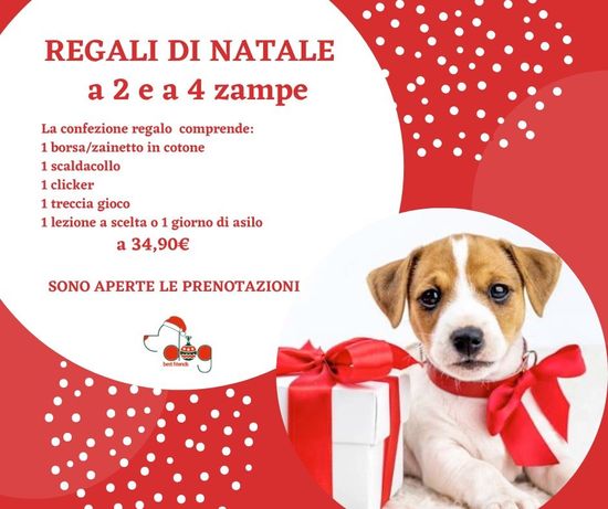 Corso di educazione cinofila