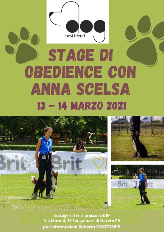 Corso di educazione cinofila