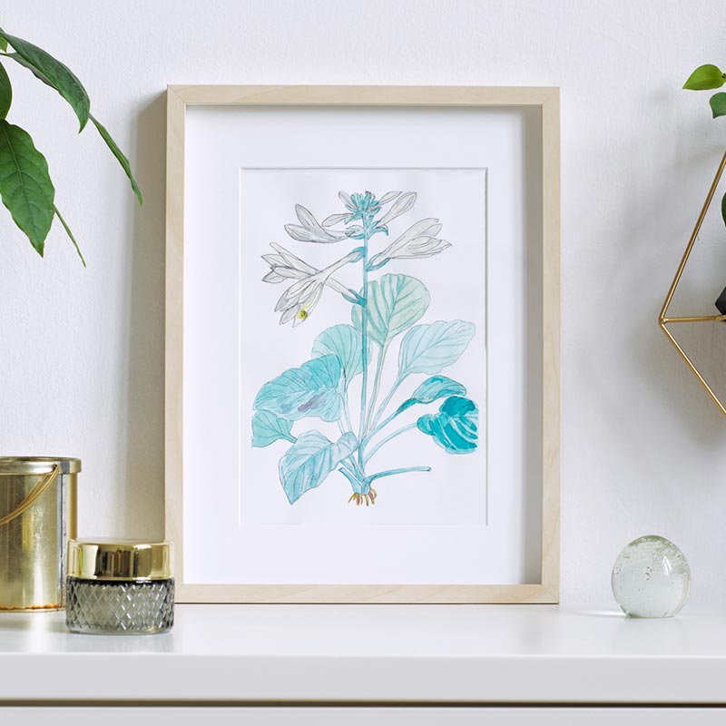 Regular Glass Frame — Medford, NJ — Hawthorne Gallery & Frame Shop