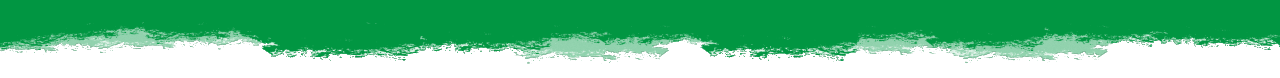 bg3