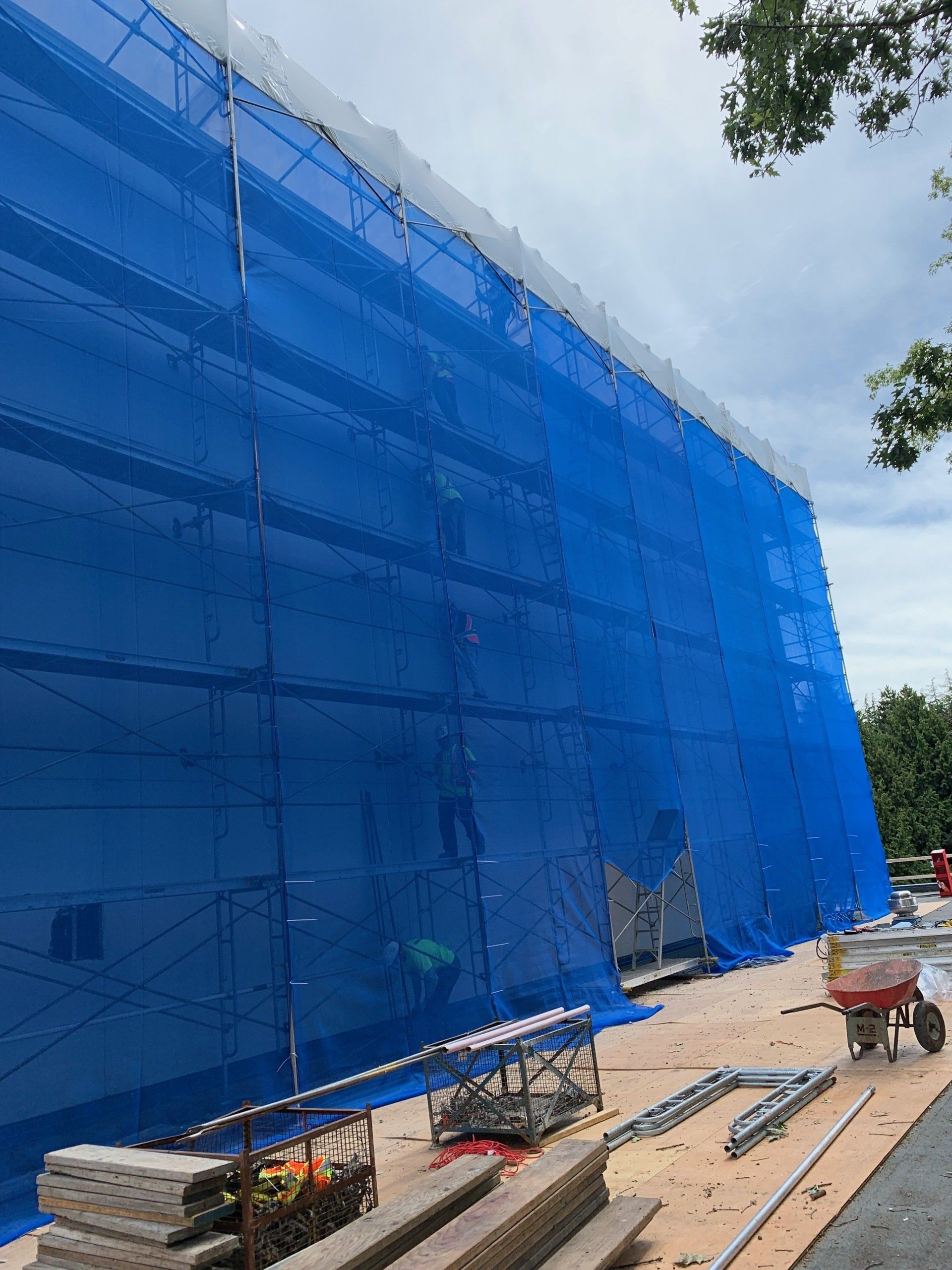 Scaffnetting