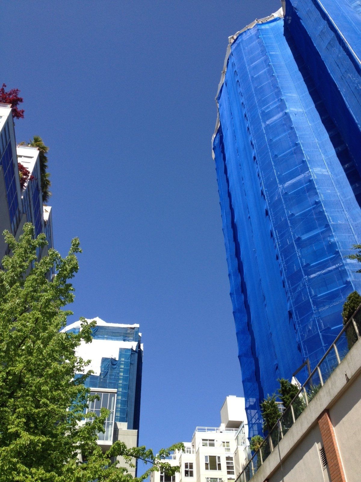 Scaffnetting