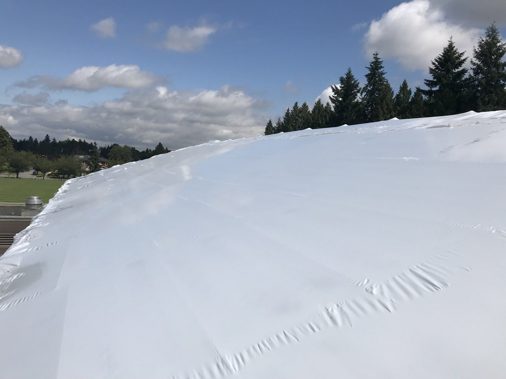 shrinkwrap