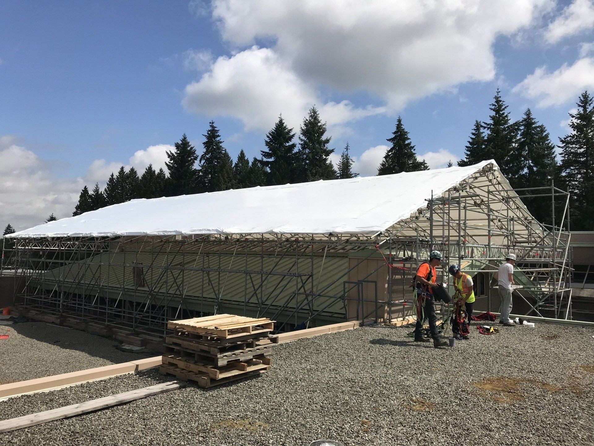 shrink wrap