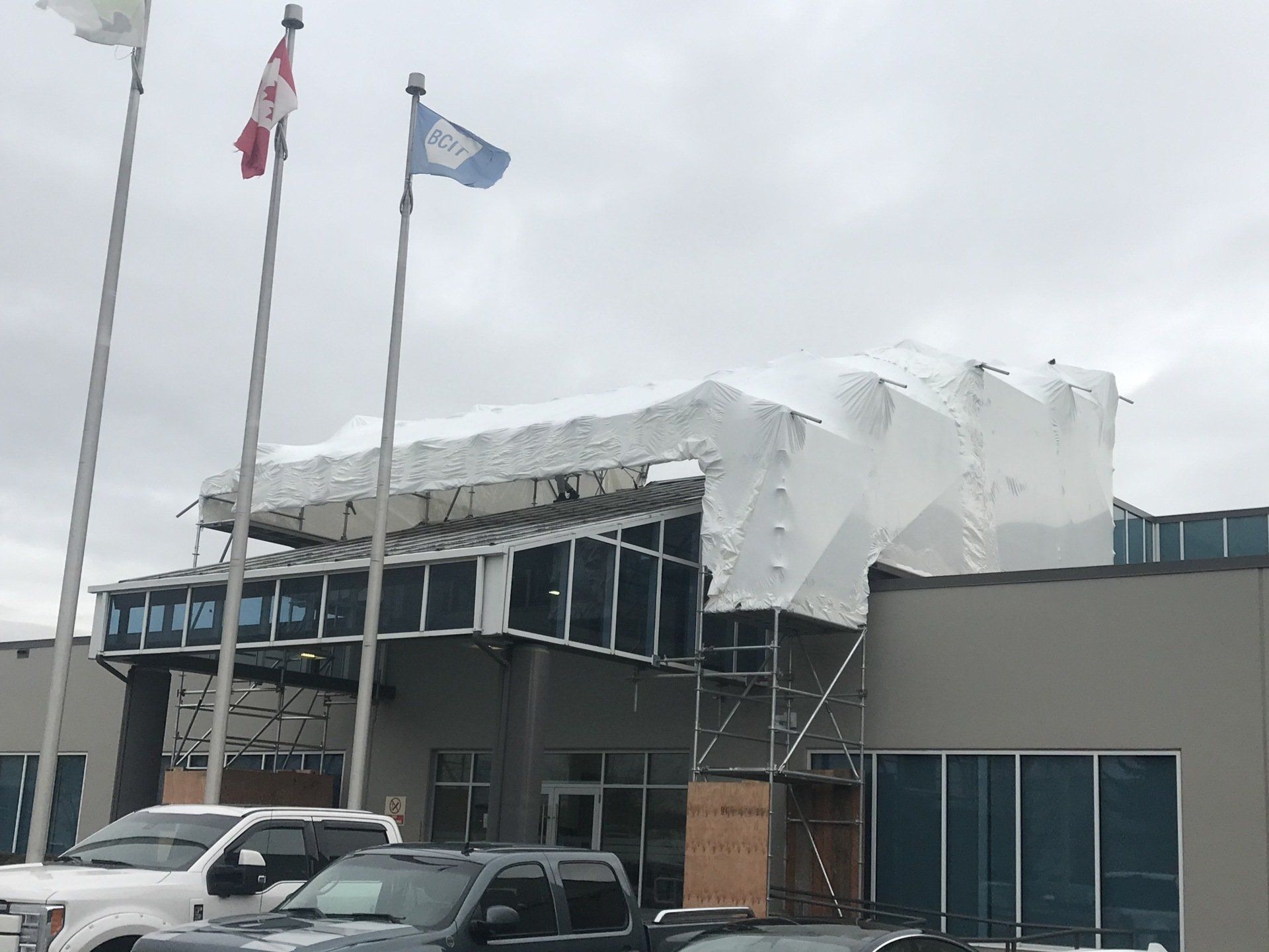shrink wrap