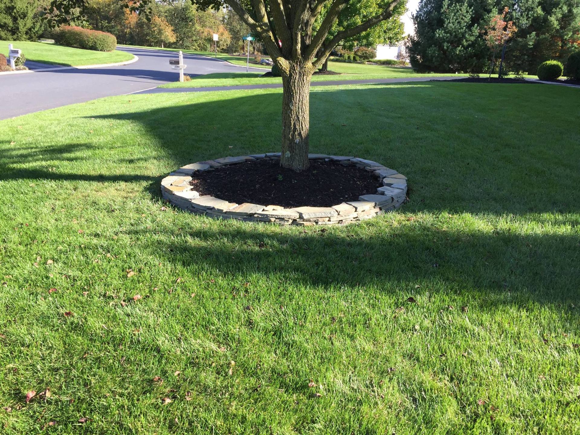 Landscaping Around a Tree — York, PA — Salem Springs Landscaping