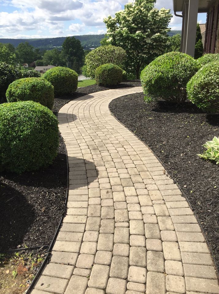 Stone Walkway with Plants on The Side — York, PA — Salem Springs Landscaping