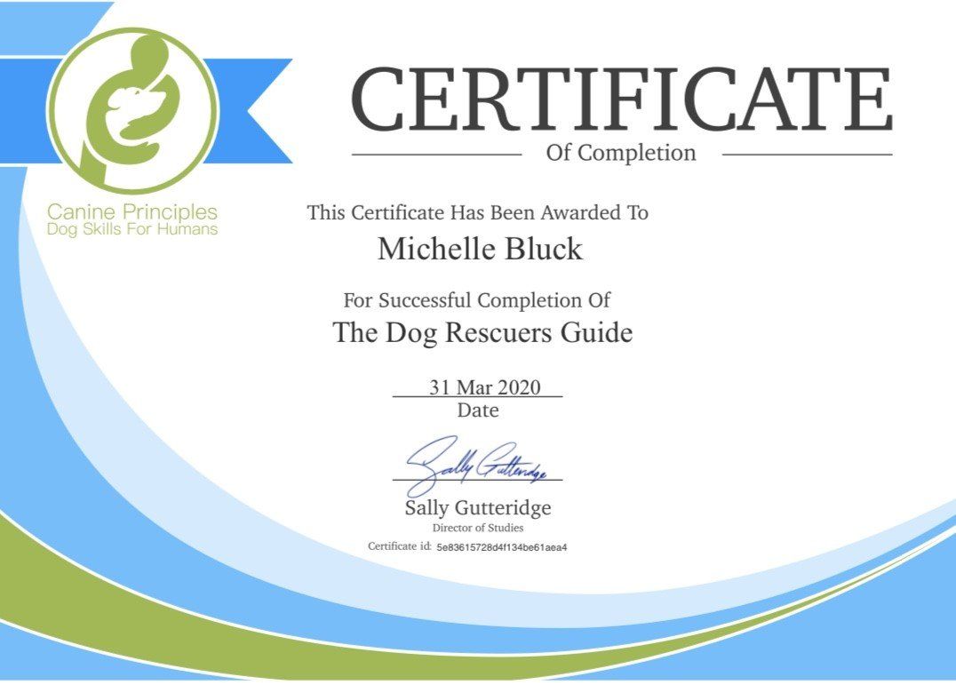 certificates 1