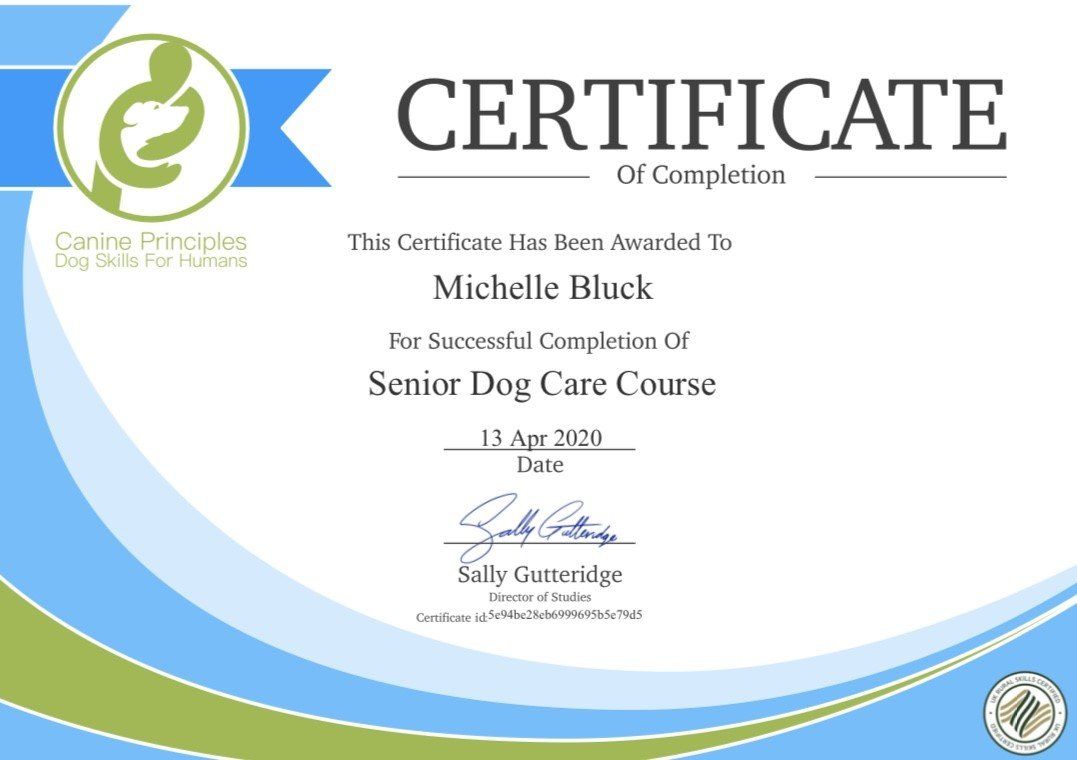 certificates 3
