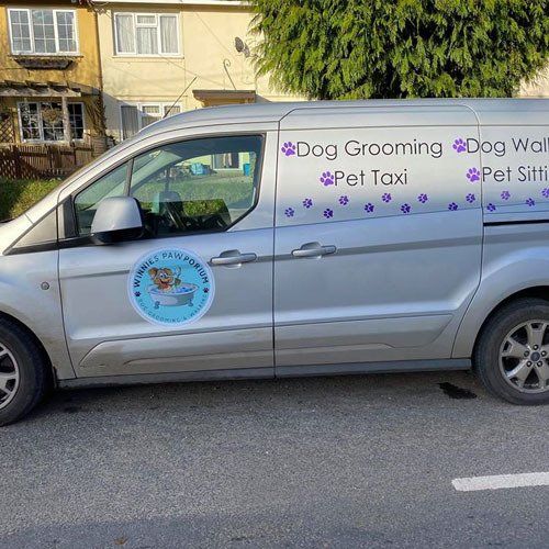 pet taxi