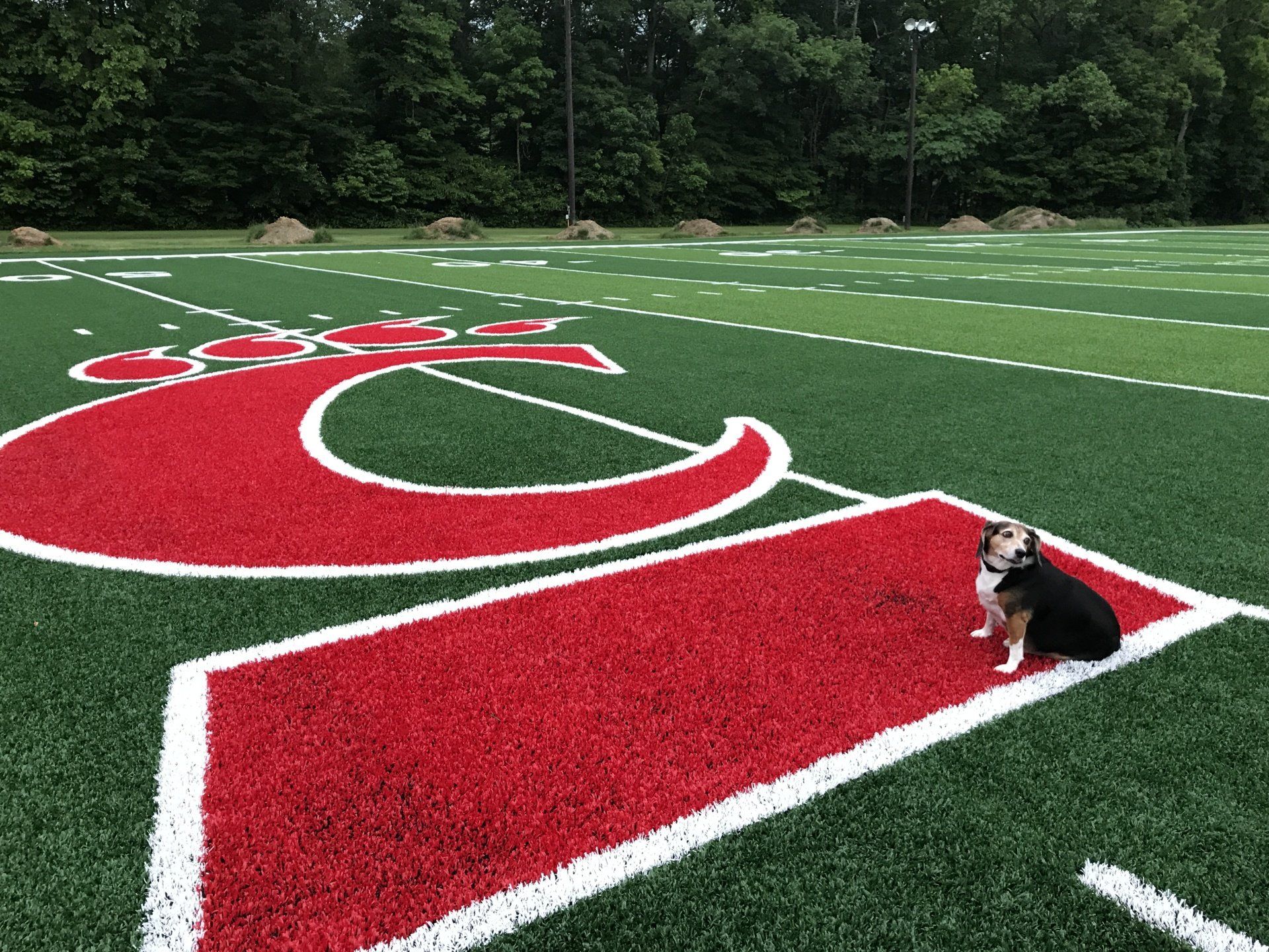 Football fields