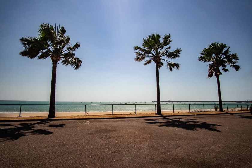 Palm Trees at Beach In Darwin — Property Valuation in Alice Springs
