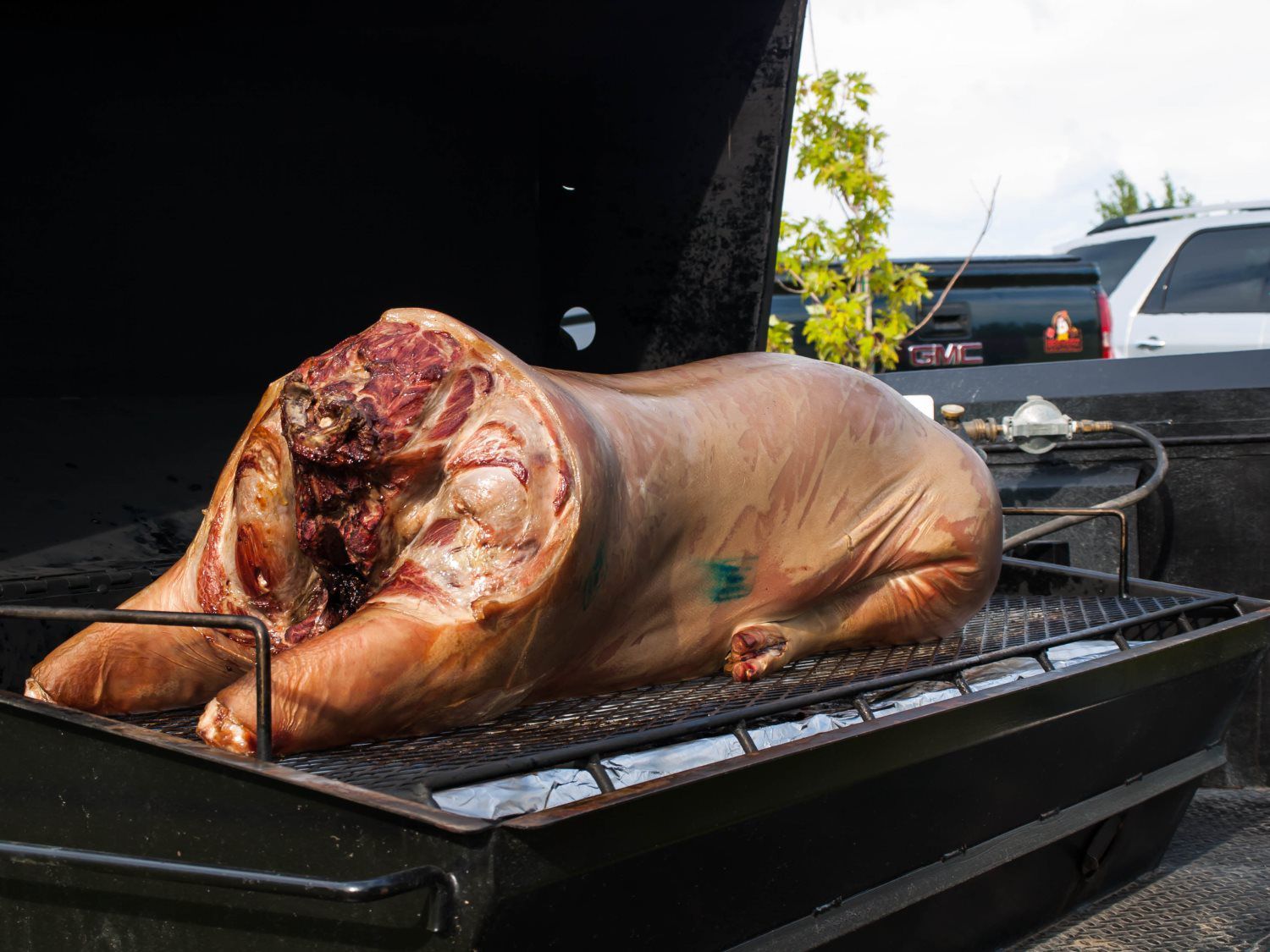 Whole roasted pig on a grill in an outdoor cooking setup