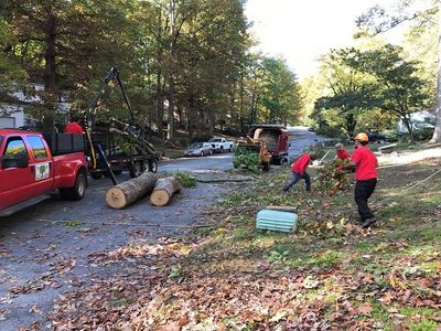 Clean Up Services After the Storm — Richmond, VA — Tree Care Inc. Clean Up Services After the Storm — Richmond, VA — Tree Care Inc.