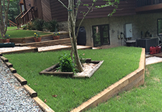 Residential Landscape