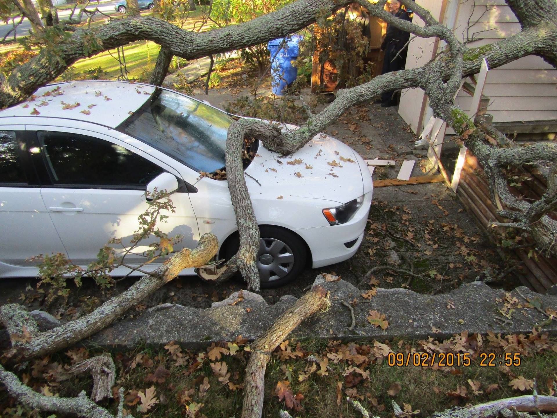 White car crushed by tree branches, parked next to a wall.