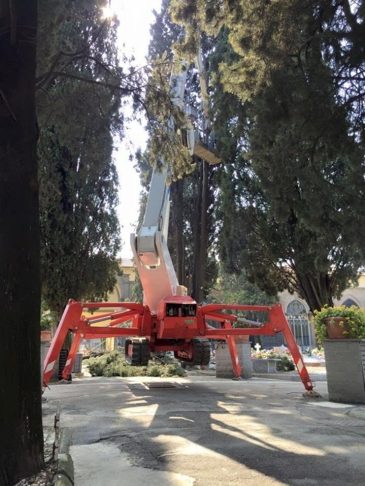 Piattaforma a ragno per intervento su albero 2
