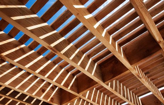 Copertura in legno e cielo