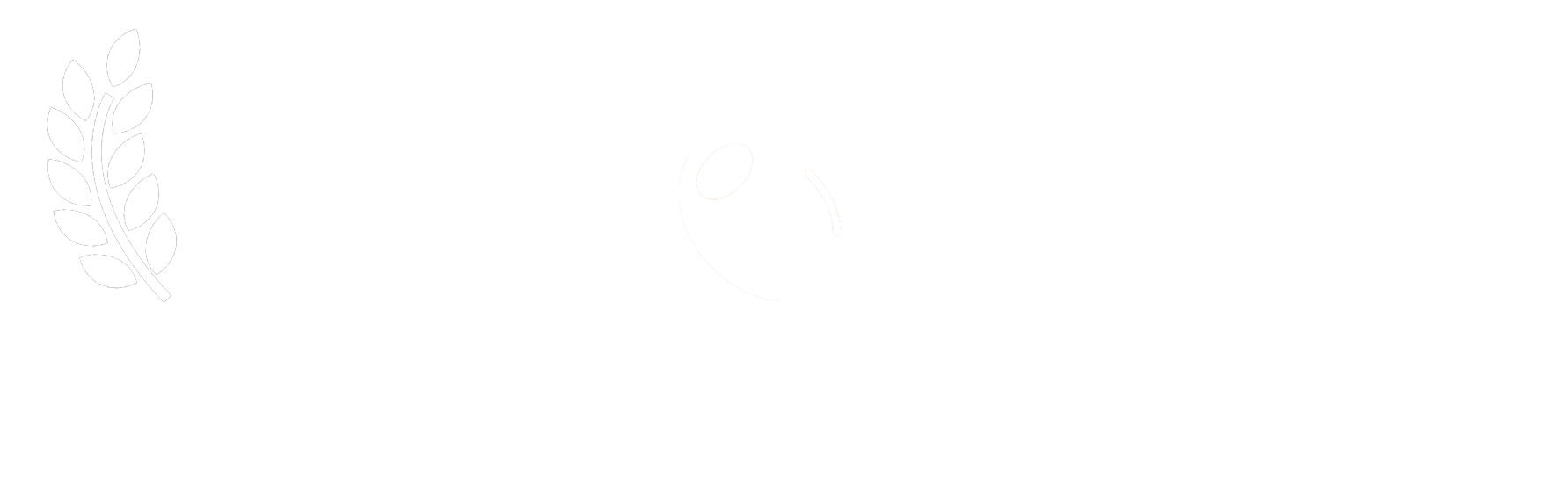 Mediterranean Food