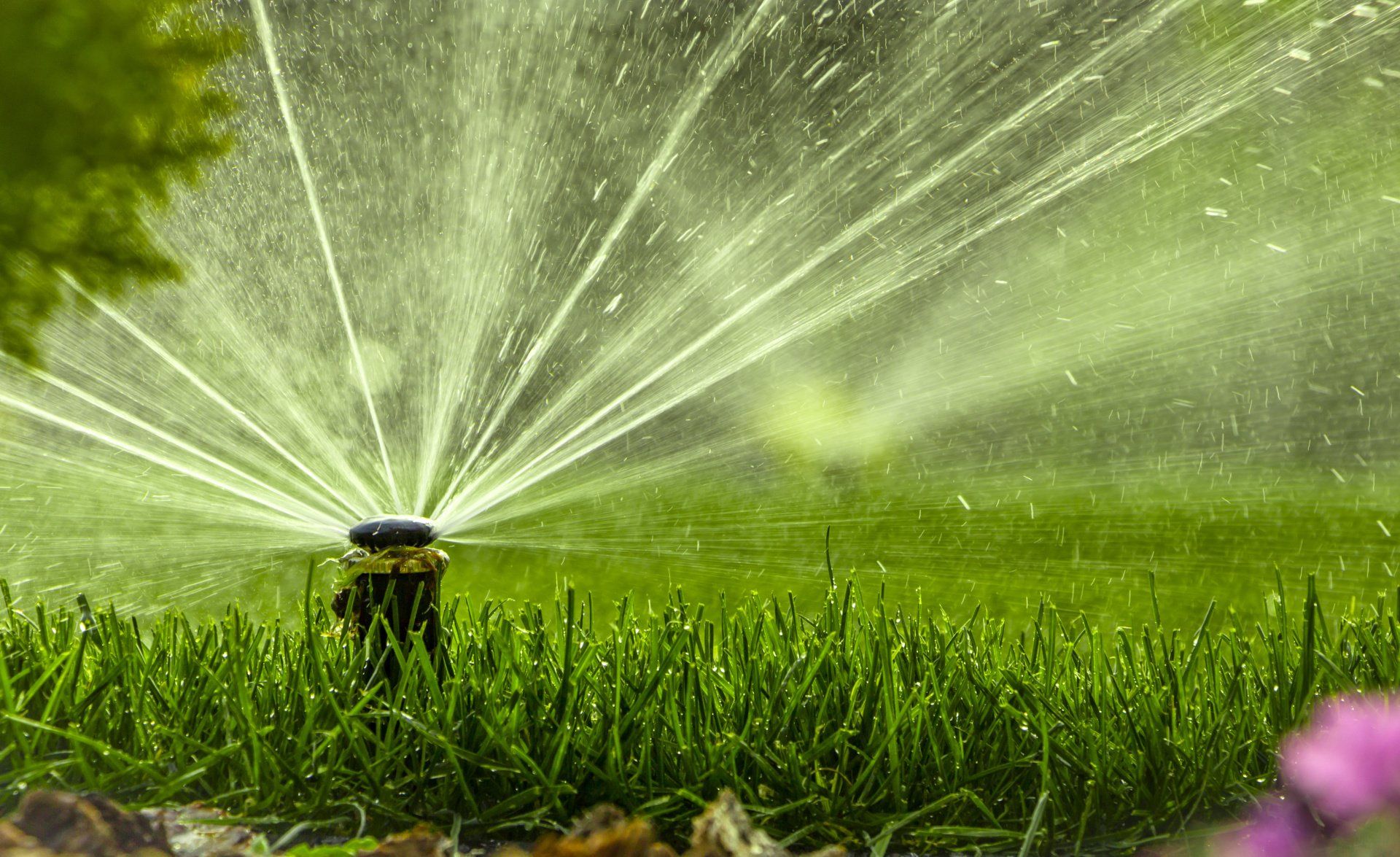 irrigazione