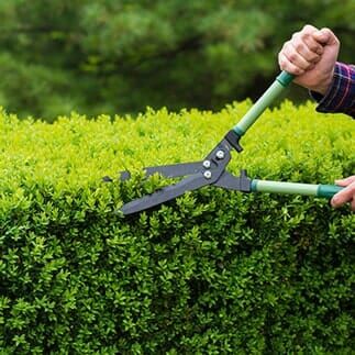Turf Cleanup — Landscape Installation & Maintenance in Albuquerque, NM Turf Cleanup — Landscape Installation & Maintenance in Albuquerque, NM