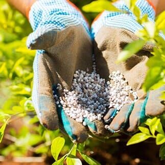 Plant fertilizer — Lawn Services in Albuqueque, NM Plant fertilizer — Lawn Services in Albuqueque, NM