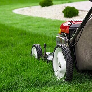 Yard mowing — Landscape Installation & Maintenance in Albuqueque, NM Yard mowing — Landscape Installation & Maintenance in Albuqueque, NM