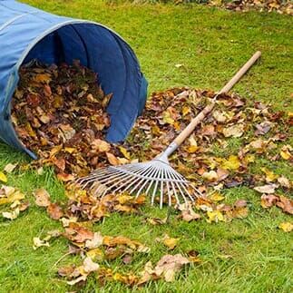 Cleaning the leaves — Landscape Installation & Maintenance in Albuqueque, NM