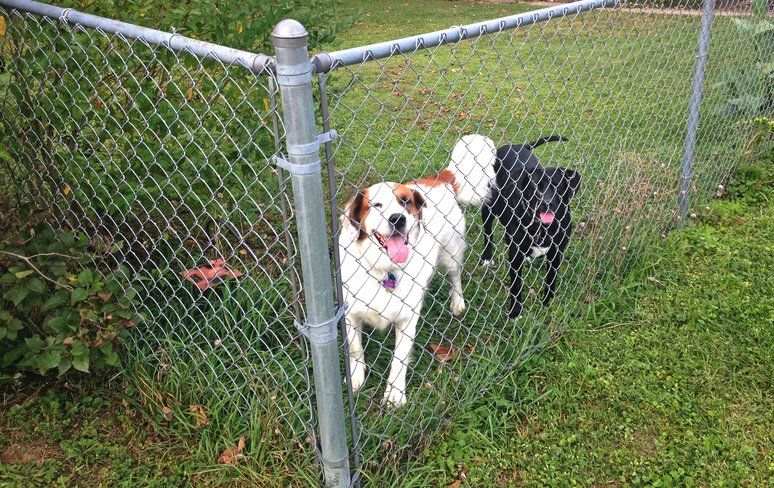 chain-link