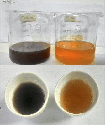 ผู้ให้บริการโซลูชั่นสีเขียว ประเทศไทย - Sentinel Solution Co., Ltd.