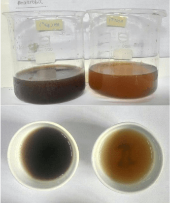 ผู้ให้บริการโซลูชั่นสีเขียว ประเทศไทย - Sentinel Solution Co., Ltd.