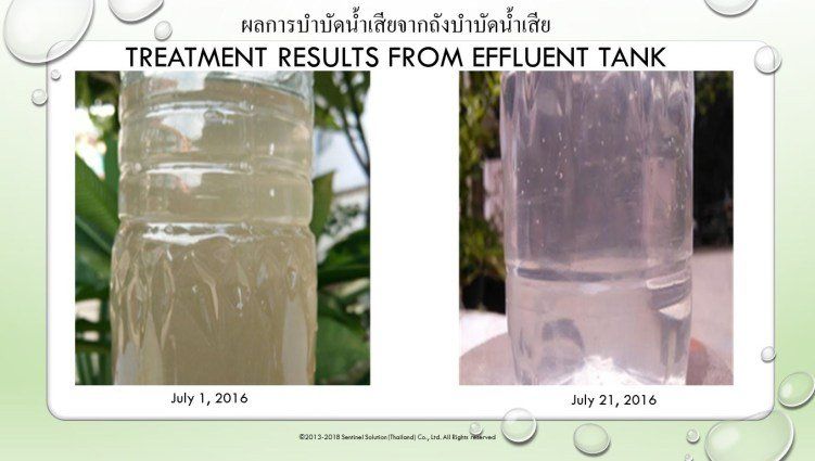 ผู้ให้บริการโซลูชั่นสีเขียว ประเทศไทย - Sentinel Solution Co., Ltd.