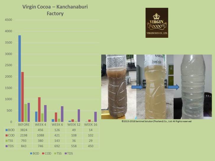 ผู้ให้บริการโซลูชั่นสีเขียว ประเทศไทย - Sentinel Solution Co., Ltd.
