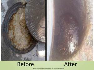 ผู้ให้บริการโซลูชั่นสีเขียว ประเทศไทย - Sentinel Solution Co., Ltd.