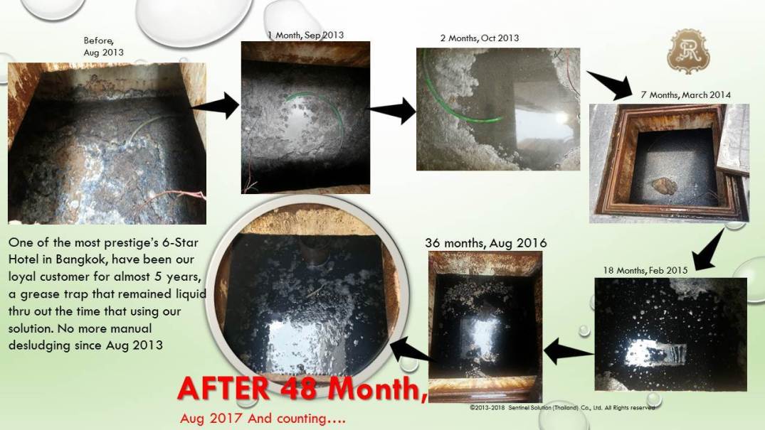ผู้ให้บริการโซลูชั่นสีเขียว ประเทศไทย - Sentinel Solution Co., Ltd.
