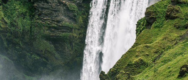 At Dalpro We Control Our Operations To Minimize Environmental Impacts Chemical Cleaning Services Hamilton