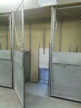 Kennel inside