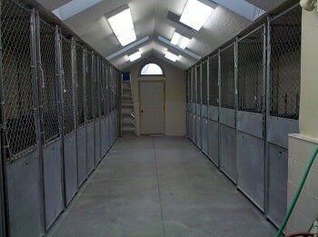 kennels