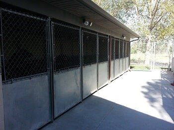 outside kennels