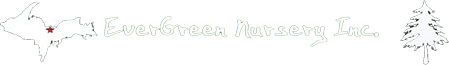 Evergreen Nursery Inc Evergreen Nursery Inc