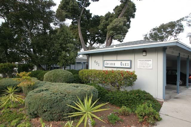 Anchor Oaks