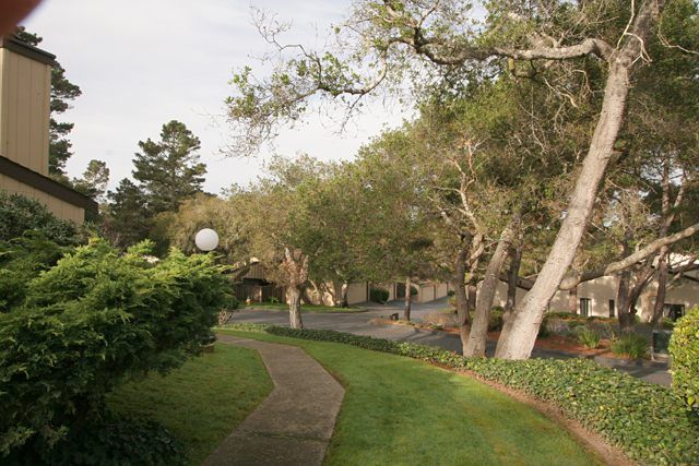 Forest Grove Condos