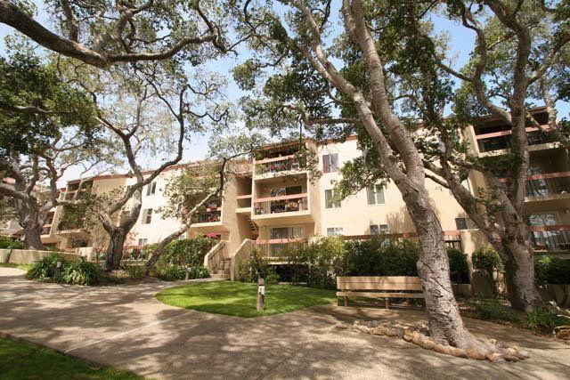 Golden Oaks
