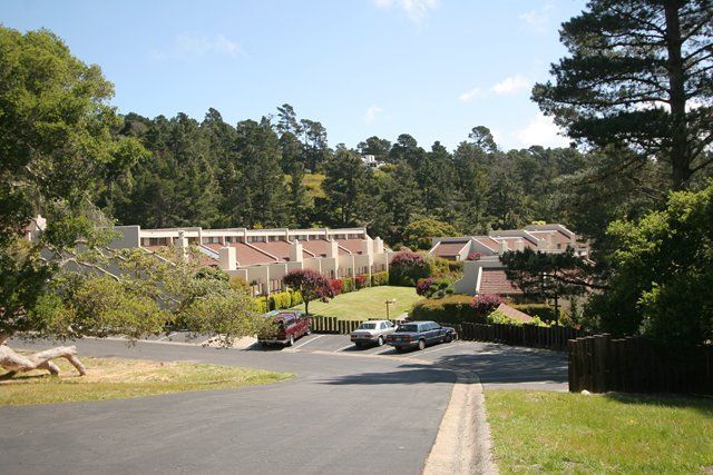 High Meadow Terrace