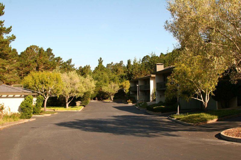 High Meadow of Carmel