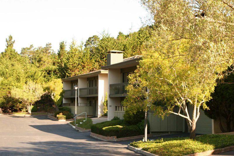 High Meadow of Carmel