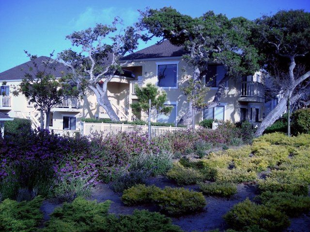 Laine Hill Condos